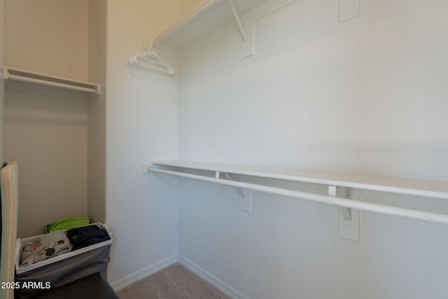 walk in closet with carpet