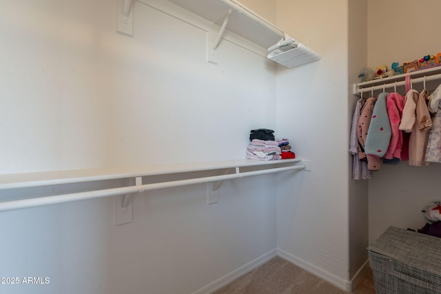 spacious closet with carpet floors