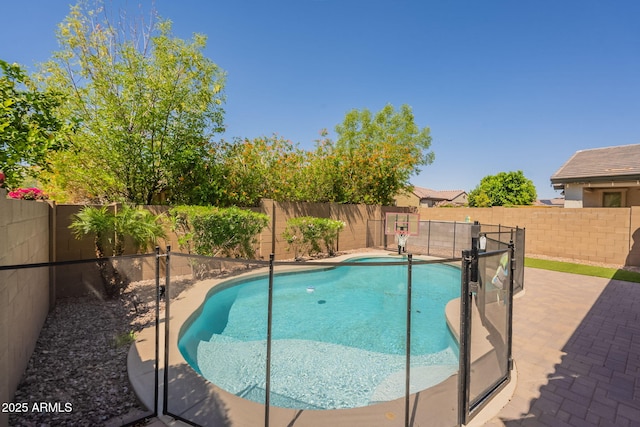 view of pool featuring a fenced in pool, a fenced backyard, and a patio