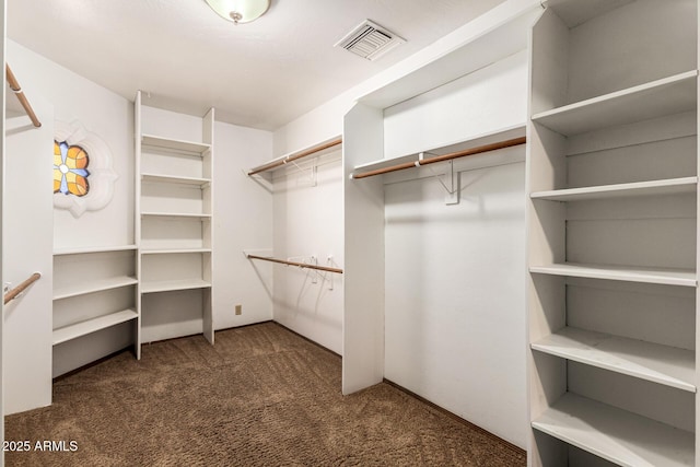 119 E Palomino Dr, Tempe, AZ 85284 - walk in closet with carpet flooring