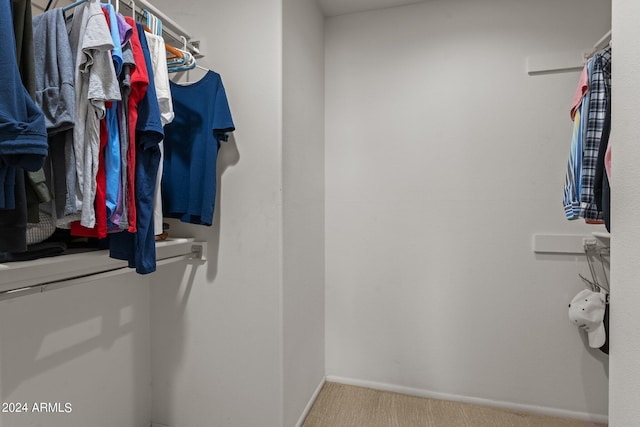 spacious closet with carpet floors