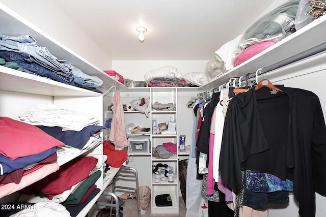 view of spacious closet