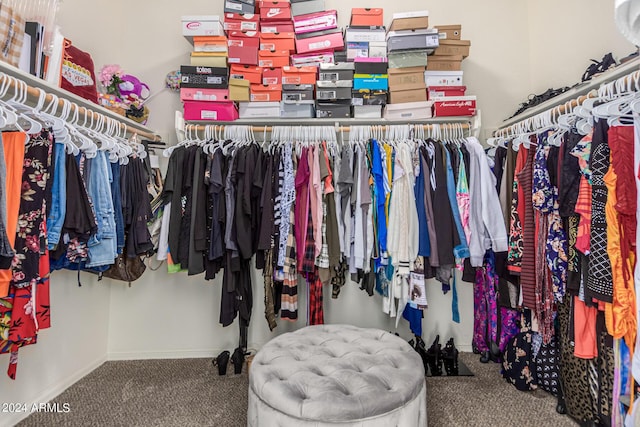 spacious closet with carpet