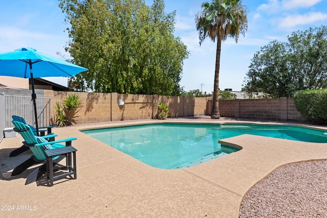 view of pool featuring a patio