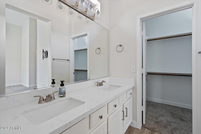 bathroom featuring dual bowl vanity