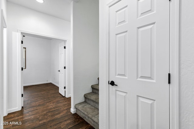 stairs featuring hardwood / wood-style flooring