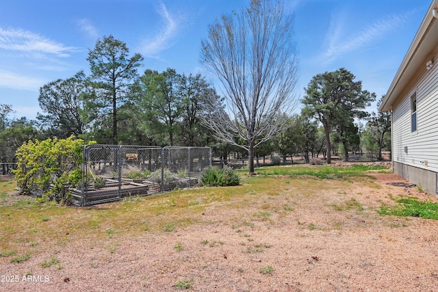 889 E Dealers Choice Ln, Payson, AZ 85541 - view of yard with fence and a vegetable garden