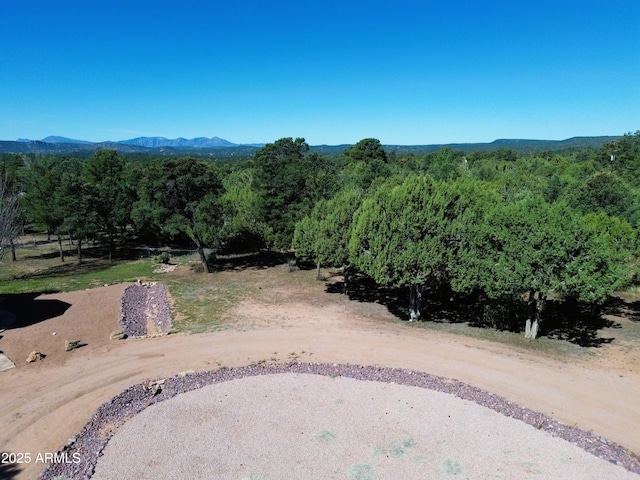 889 E Dealers Choice Ln, Payson, AZ 85541 - property view of mountains