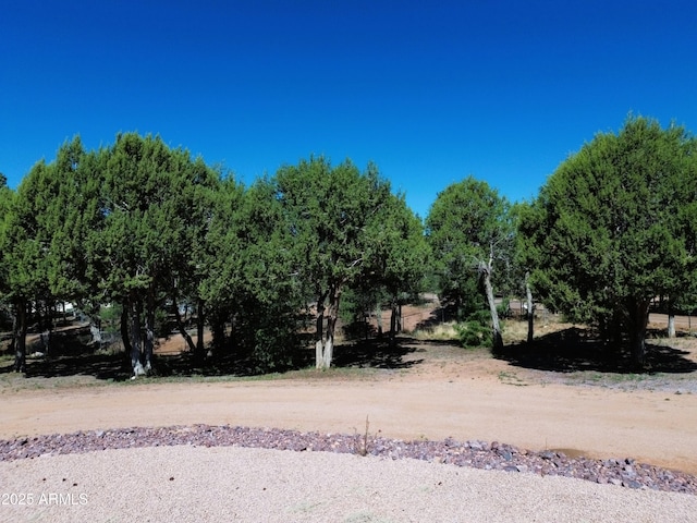 889 E Dealers Choice Ln, Payson, AZ 85541 - view of local wilderness