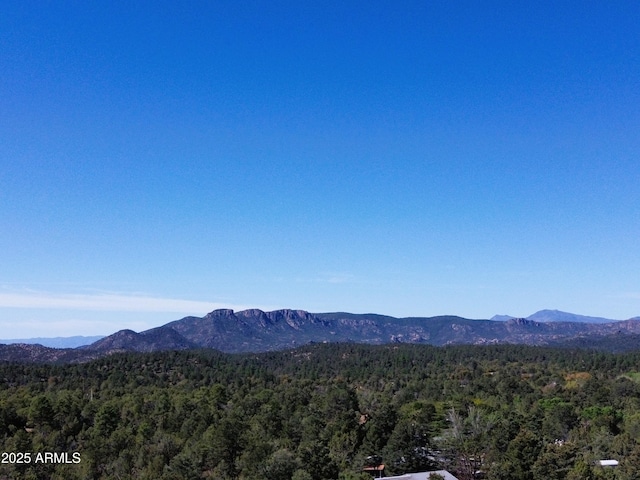 889 E Dealers Choice Ln, Payson, AZ 85541 - property view of mountains with a forest view