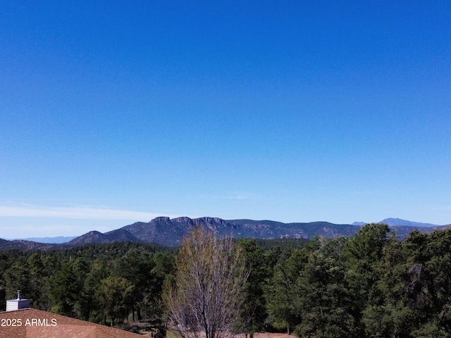 889 E Dealers Choice Ln, Payson, AZ 85541 - view of mountain feature with a view of trees