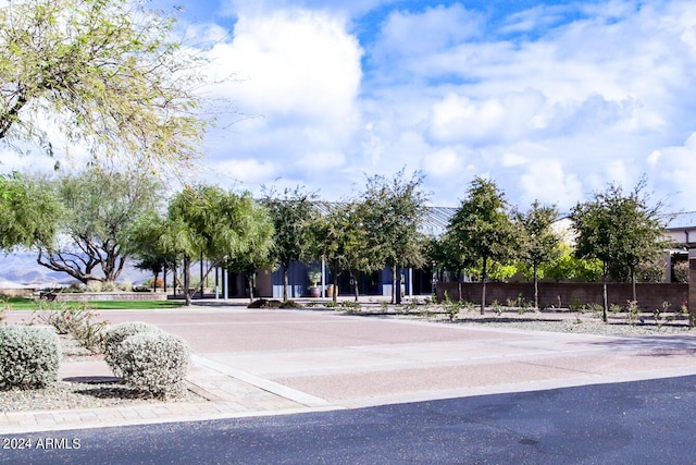30507 N 167th St, Scottsdale, AZ 85262 - view of road