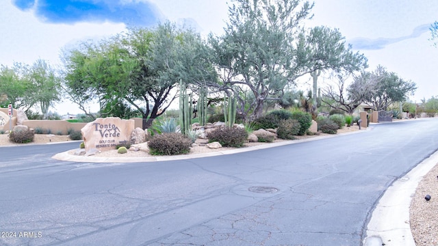 30507 N 167th St, Scottsdale, AZ 85262 - view of asphalt street featuring curbs