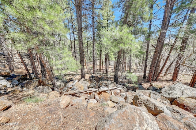 17425 Sequoia Dr, Munds Park, AZ 86017 - view of local wilderness