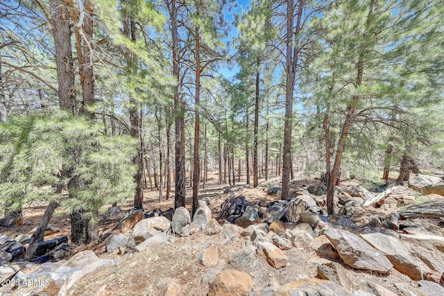 17425 Sequoia Dr, Munds Park, AZ 86017 - view of local wilderness