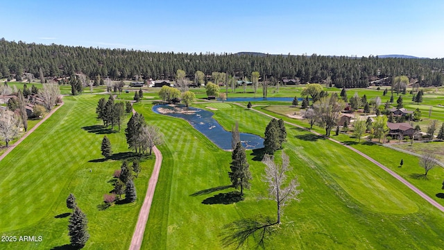 17425 Sequoia Dr, Munds Park, AZ 86017 - drone / aerial view of a large body of water, a local golf course, and a forest