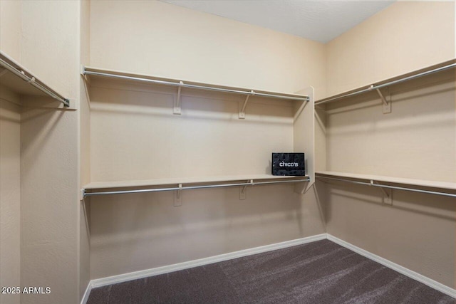 spacious closet featuring carpet flooring