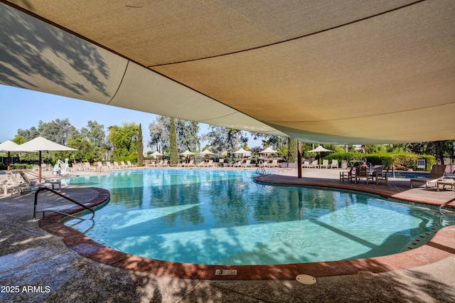 view of swimming pool with a patio