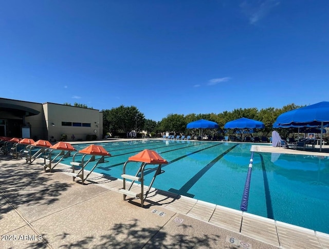 view of swimming pool featuring a patio