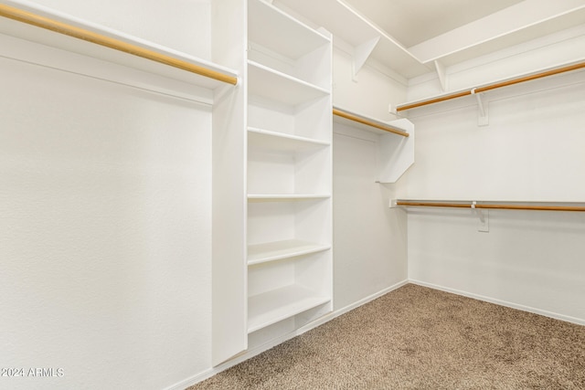 spacious closet featuring carpet floors