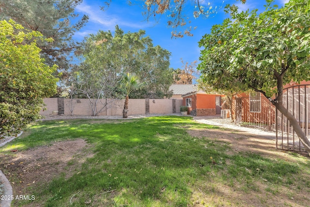 view of yard with a fenced backyard