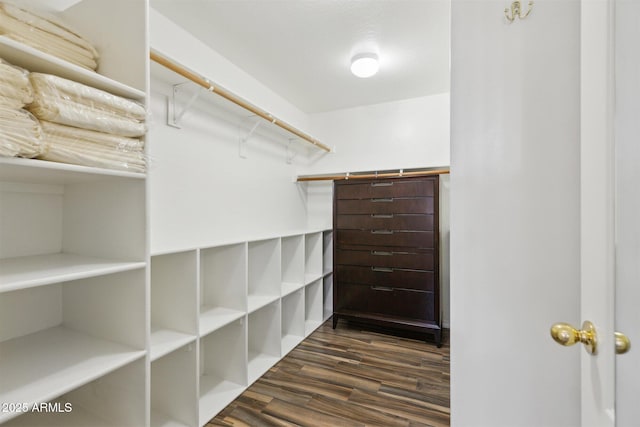 spacious closet featuring dark hardwood / wood-style floors