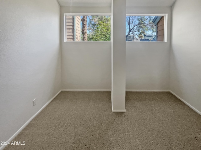 spare room with a healthy amount of sunlight and carpet