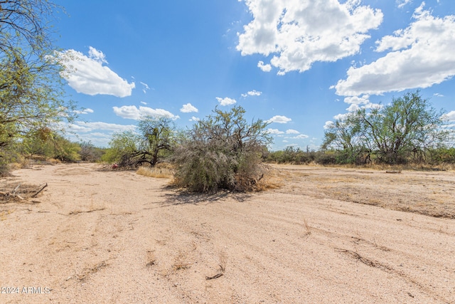 view of local wilderness featuring a rural view