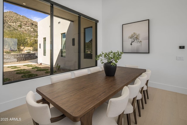 dining area with light hardwood / wood-style floors