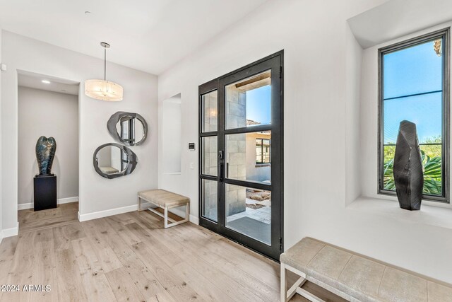 foyer entrance with light hardwood / wood-style flooring