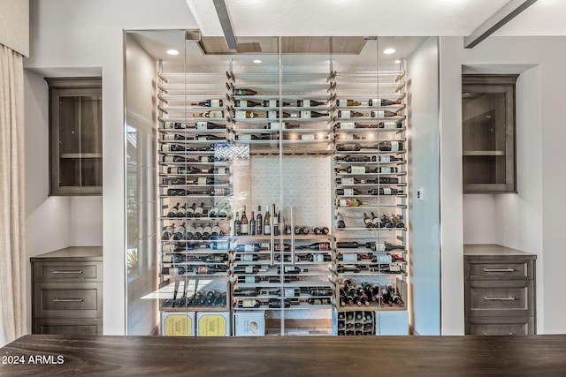 view of wine cellar