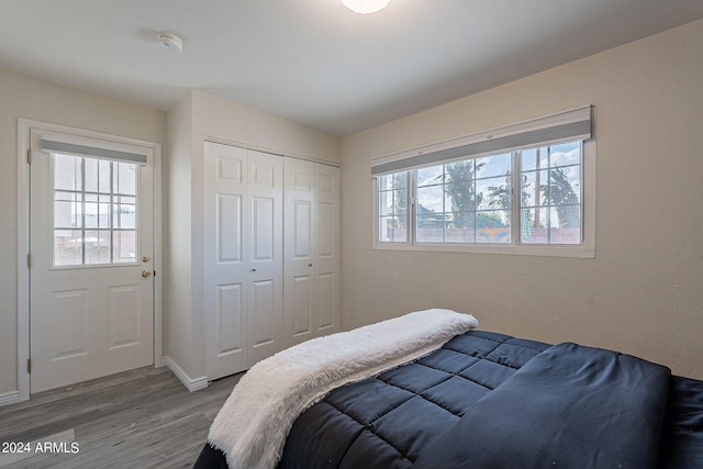 bedroom with wood-type flooring and a closet