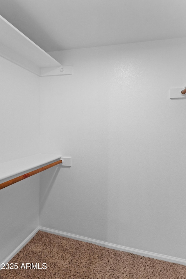 walk in closet featuring carpet floors