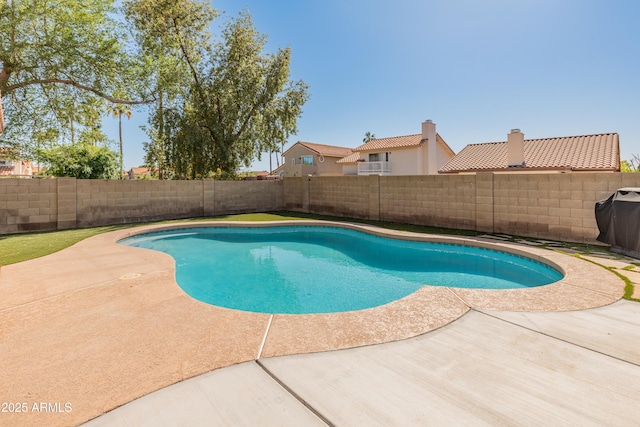 view of swimming pool with a fenced in pool, a patio area, and a fenced backyard