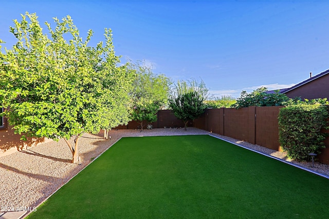 view of yard with a fenced backyard
