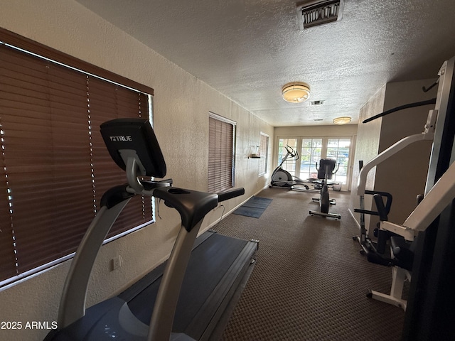 1402 E Guadalupe Rd Unit 215, Tempe, AZ 85283 - exercise room featuring a textured wall, a textured ceiling, and carpet
