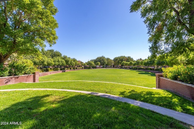 view of property's community with a yard