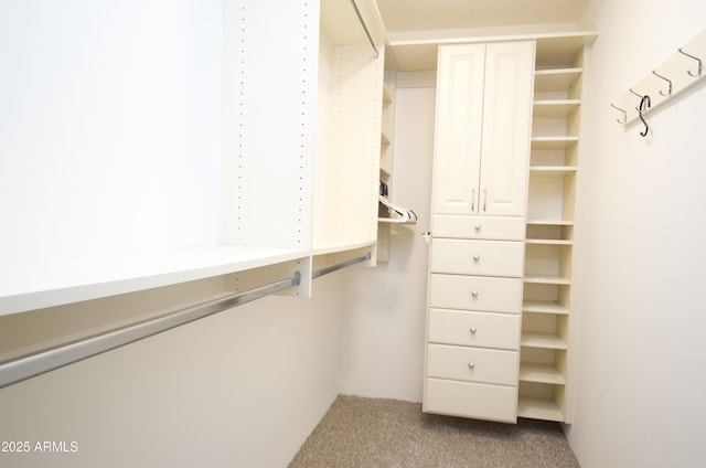 spacious closet featuring light carpet