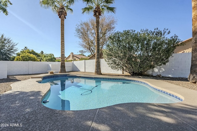 view of swimming pool