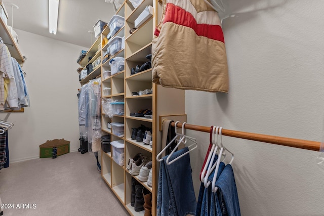 22900 W Hylton Way, Congress, AZ 85332 - walk in closet featuring carpet