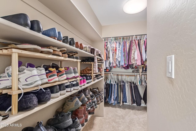 spacious closet with carpet