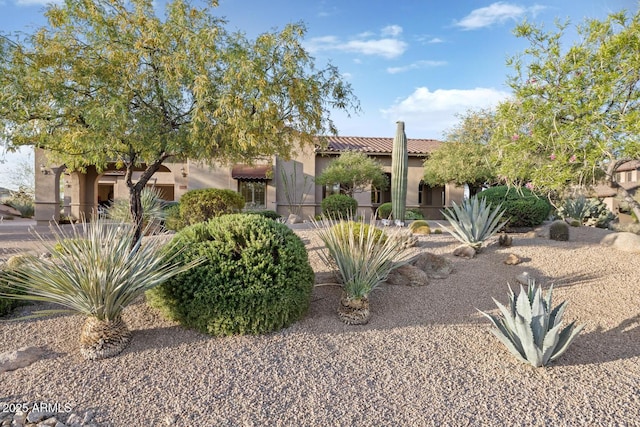 mediterranean / spanish-style house with a tile roof and stucco siding