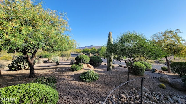 view of yard featuring a mountain view
