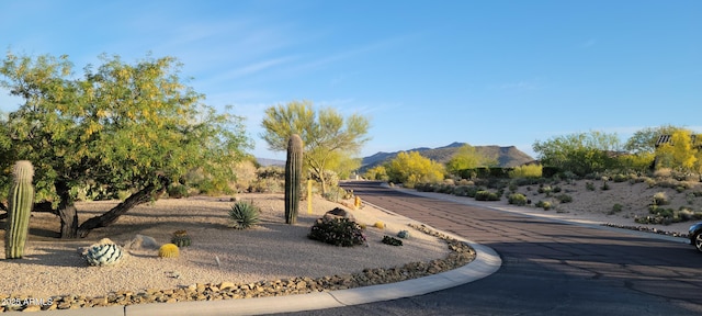 view of community featuring a mountain view
