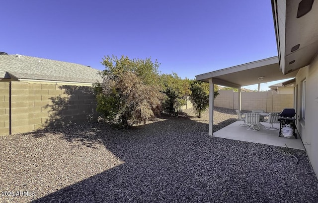 view of yard with a patio area