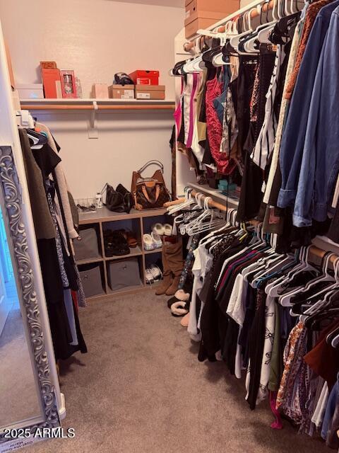 10335 W Pima St, Tolleson, AZ 85353 - spacious closet featuring carpet floors