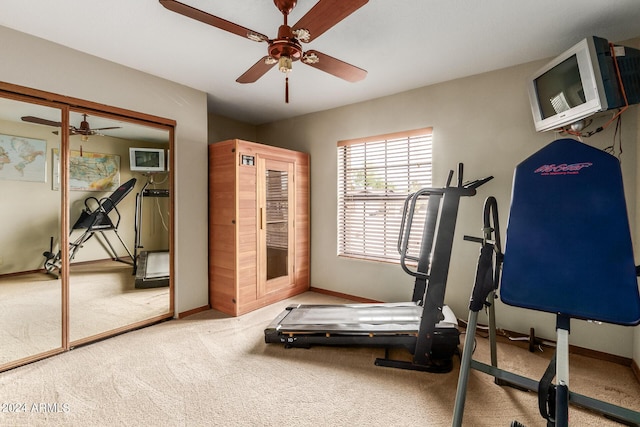 workout room with carpet floors and ceiling fan