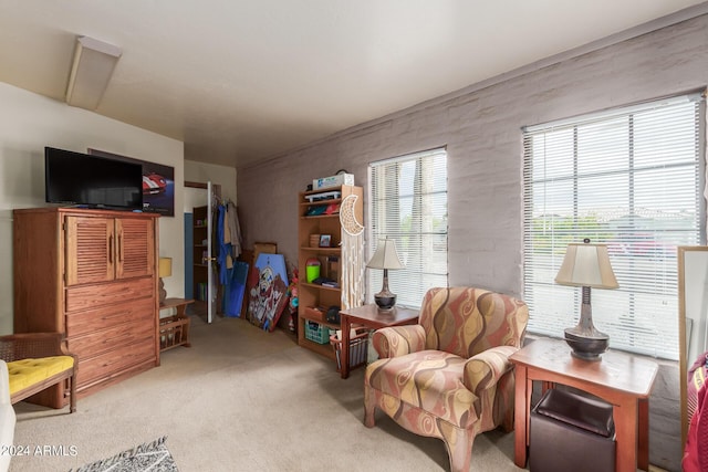 living area featuring light colored carpet