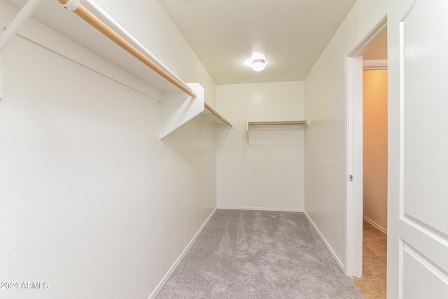 spacious closet featuring light colored carpet