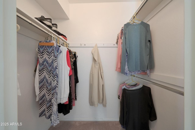 walk in closet with carpet flooring